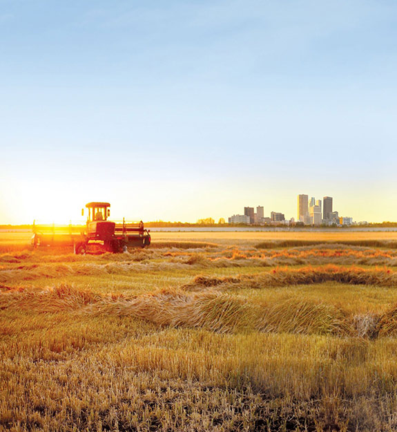 A tractor working in the field with downtown Winnipeg in the background.
